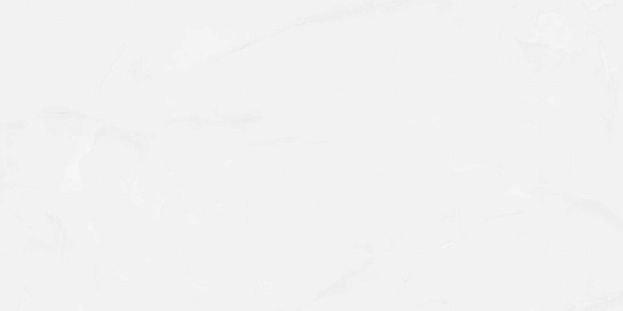 Керамогранит "Wan Sheng" Glazed (1200*600 мм) Серый D12617 — купить в Тюмени