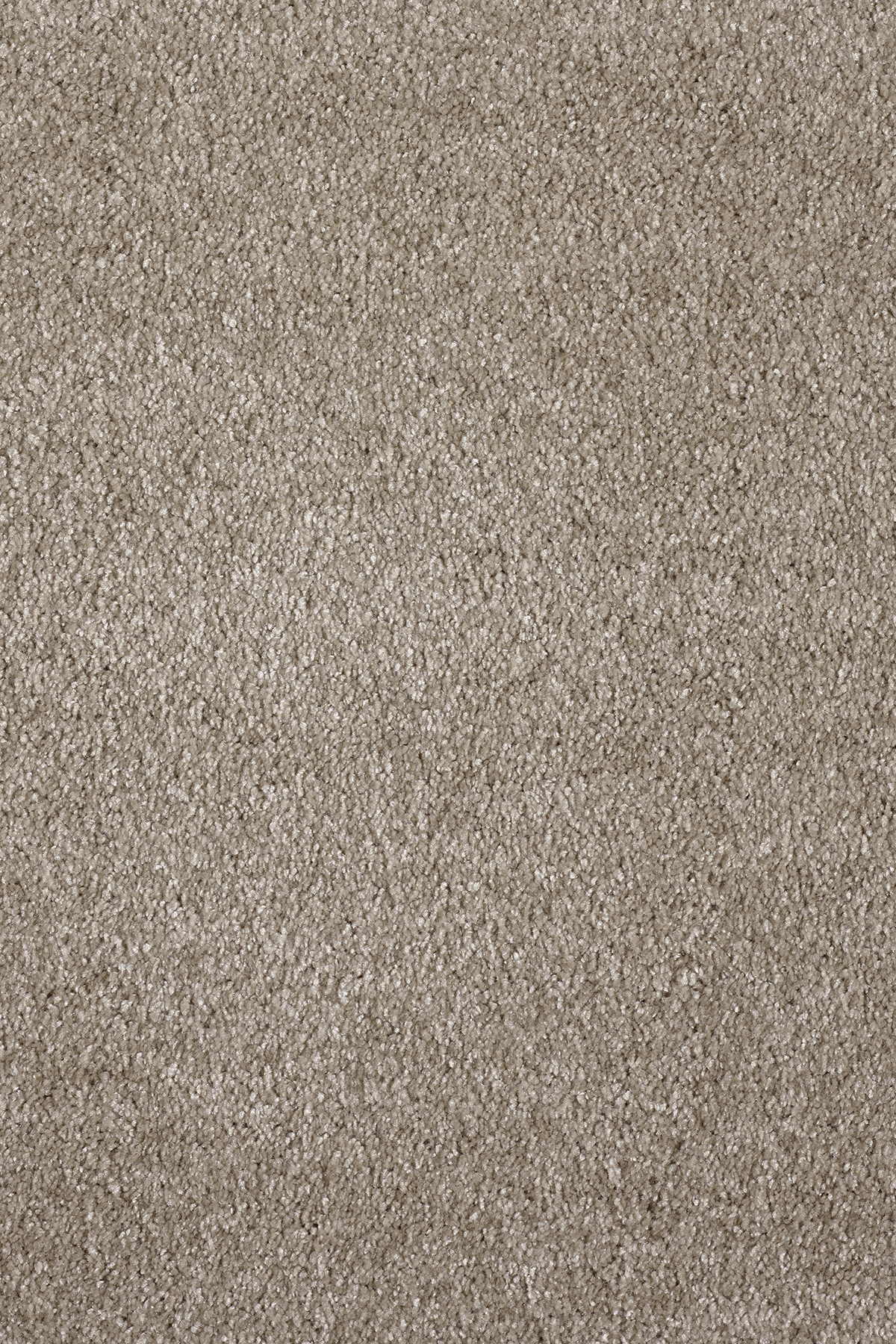 Ковровое покрытие "Bonkeel" Parana 34 (ширина 4м/5м) — купить в Тюмени