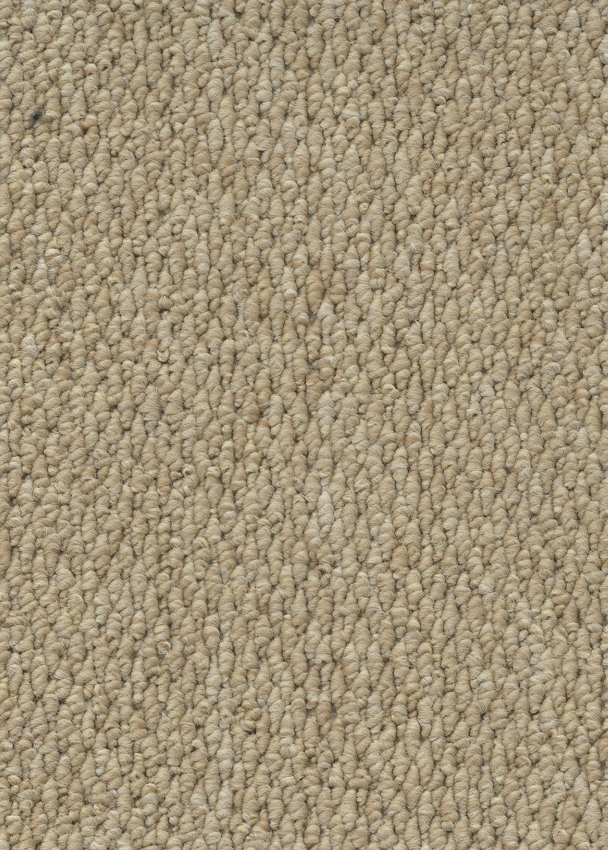 Ковровое покрытие "Bonkeel" Skye 50 (ширина 4м) — купить в Тюмени